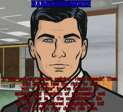a cartoon of archer says if you call someone 's opinion hate speech