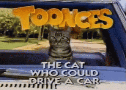 a cat is sitting in the back of a car with the words " the cat who could drive a car " written above it .