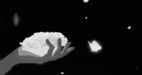 Butterfly Snow GIF - Butterfly Snow Light GIFs