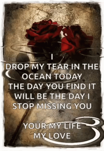 Roses Water Drops GIF - Roses Water Drops Miss You GIFs