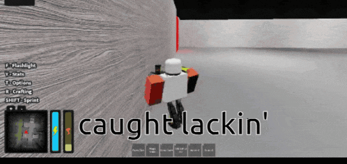 a screenshot of a video game with the words caught lacking