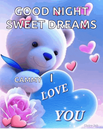 a teddy bear holding a heart with the words good night sweet dreams cammy i love you