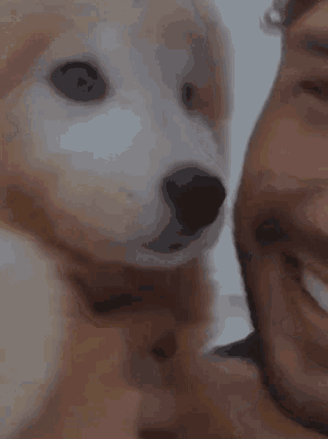 a close up of a man 's face with his eyes closed