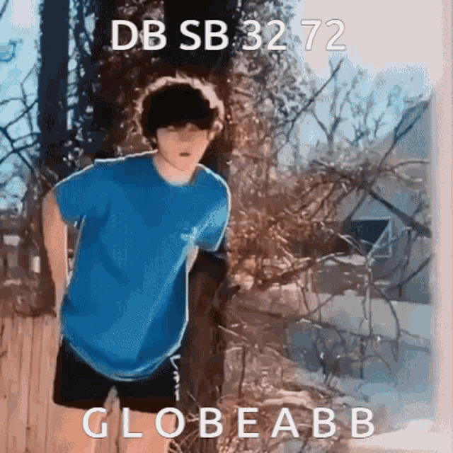 Globeabb Db Sb3272 GIF