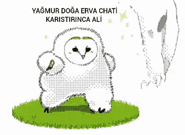 a snowy owl is standing in the grass with the words yağmur doga erva chati karistirinca ali above it