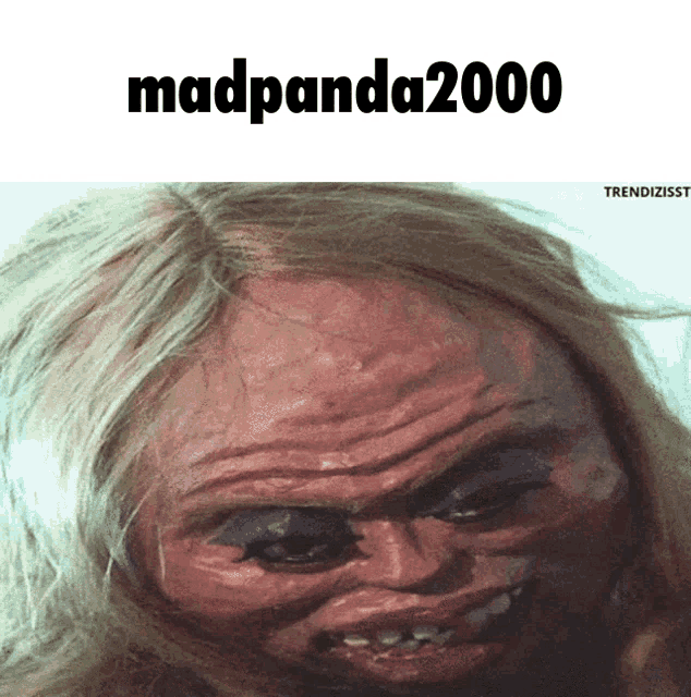 Madpanda Madpanda2000 GIF - Madpanda Madpanda2000 Random GIFs