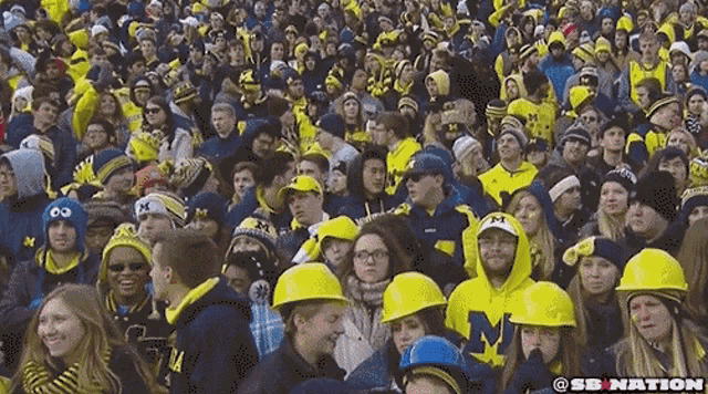 Ohio State Michigan Waving GIF - Ohio State Michigan Waving Crowd GIFs