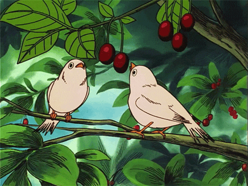 two birds sitting on a tree branch with cherries hanging from it
