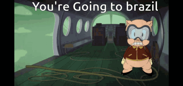 a cartoon pig is standing in an airplane with the words " you 're going to brazil " above him