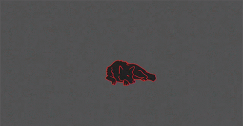 Resting Wolf The Imbeciles GIF - Resting Wolf The Imbeciles Sleeping Wolf GIFs