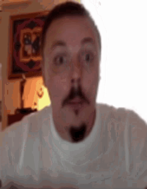 a man with a mustache and a beard is looking at the camera .