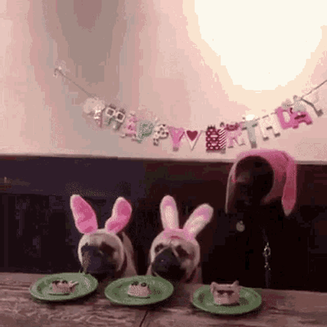 Birthday Doggies GIF - Birthday Doggies Happy Birthday GIFs