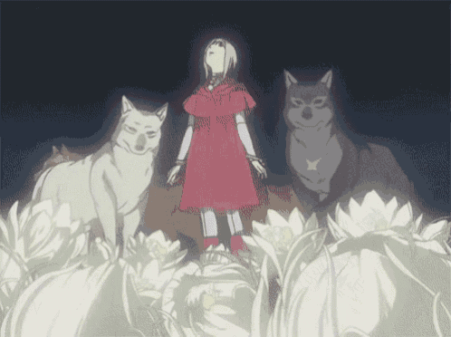 a girl in a red dress is standing in a field with two wolves
