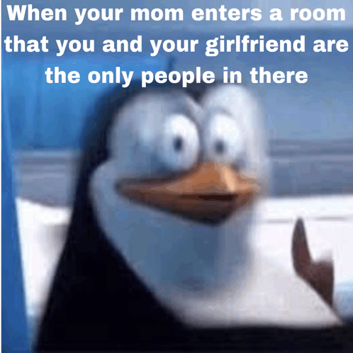 Penguin Memes GIF - Penguin Memes Meme - Discover & Share GIFs