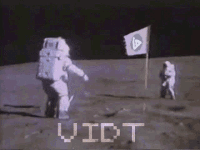 Vidt Moon GIF - Vidt Moon Flag GIFs