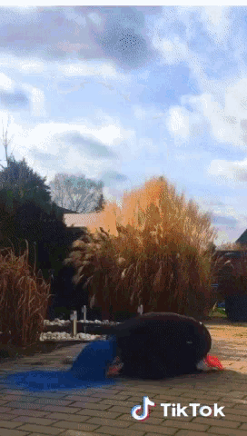 a tiktok video of a person praying on a brick patio