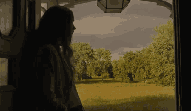 a woman looking out of a window at a field