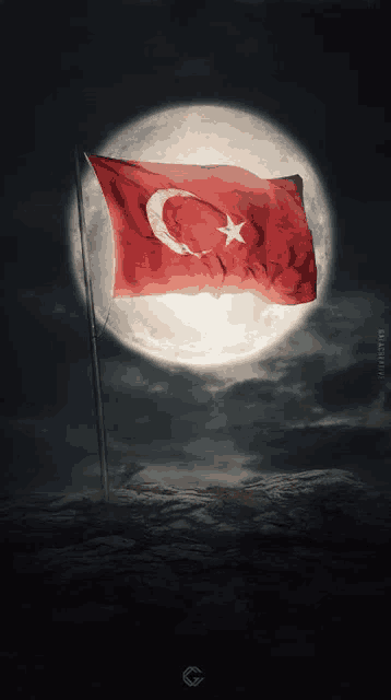 a flag with a crescent moon and a star on it