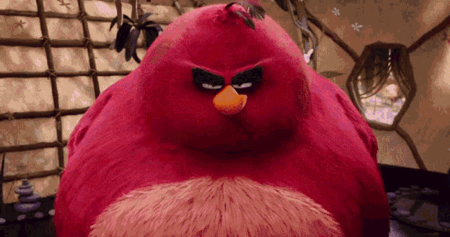 Terence Angry Birds GIF - Terence Angry Birds Grin GIFs
