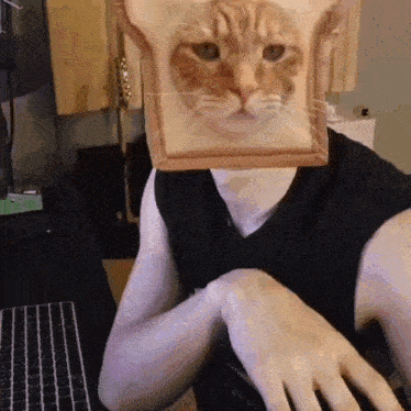 a man wearing a box with a picture of a cat on it