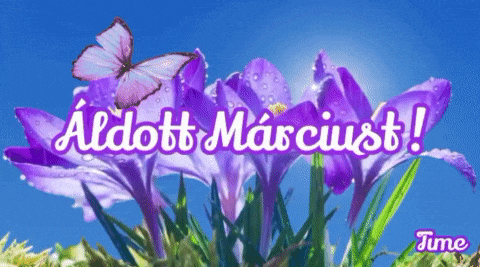 a purple butterfly is flying over purple flowers with the words " aldott marcust " written on the bottom
