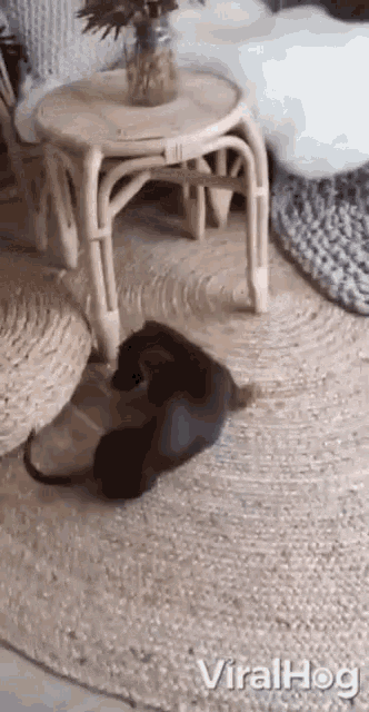 a cat is laying on a rug next to a wicker table .