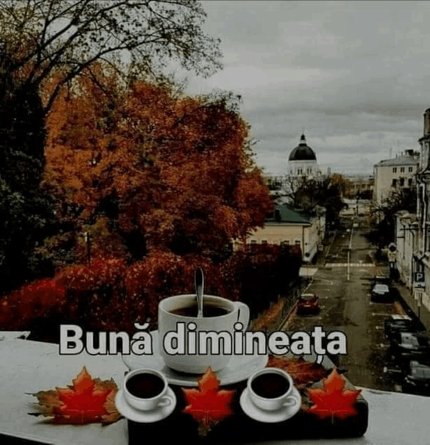 two cups of coffee are sitting on a balcony with autumn leaves and the words buna dimineata
