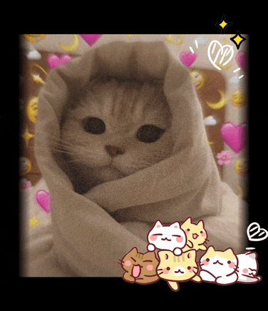 a picture of a cat wrapped in a blanket with hearts and smiley faces around it