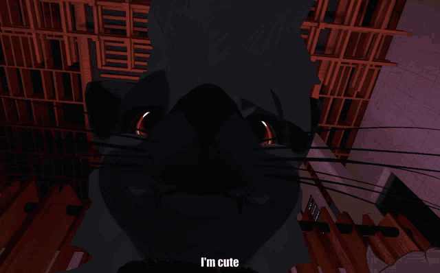 a black cat says i 'm cute in front of a wooden fence