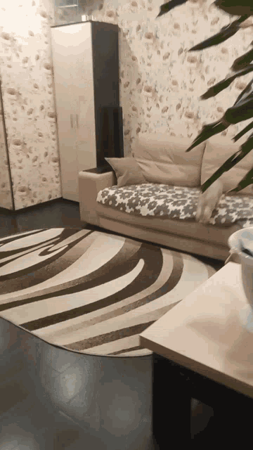 a living room with a couch and a rug in it