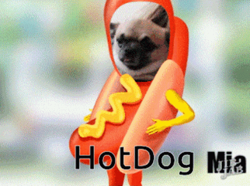 God Hotdogs GIF - God Hotdogs Hotdog Sandwich GIFs