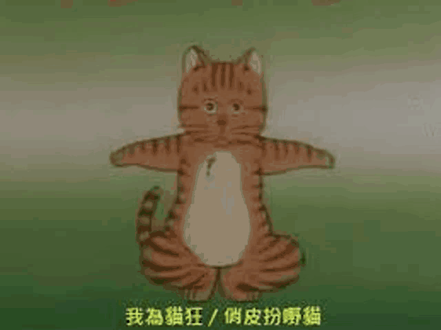 a cartoon cat is standing in a lotus position with its arms outstretched in a field .