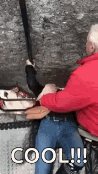 a man in a red jacket is helping a woman climb a rock while holding a rope .