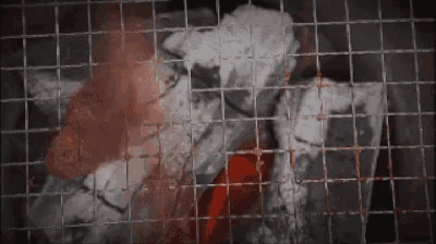 a close up of charcoal burning on a grill behind a fence .