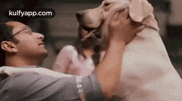 a man is holding a large dog in his arms and petting it .