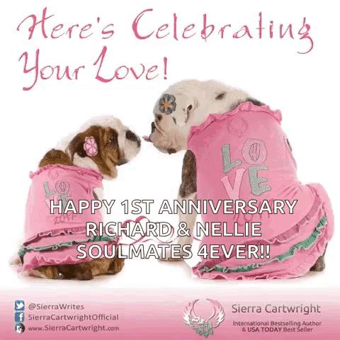 two dogs wearing pink shirts that say love are sitting next to each other