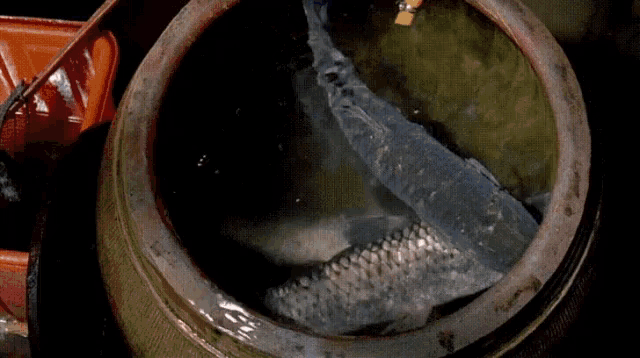a person 's hands are reaching into a pot of water with fish in it