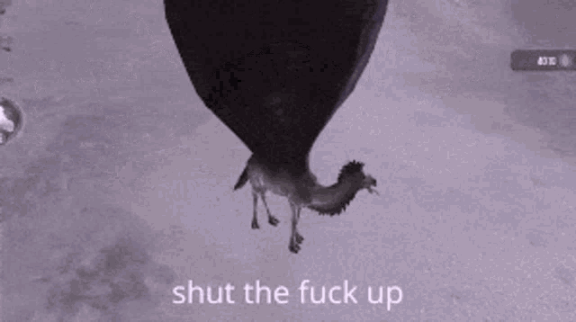 a spider is crawling in the snow with the words shut the fuck up written below it