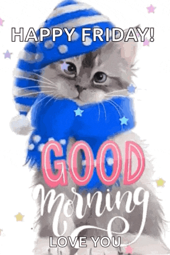 a cat wearing a blue and white hat and scarf is saying `` happy friday ! good morning i love you '' .