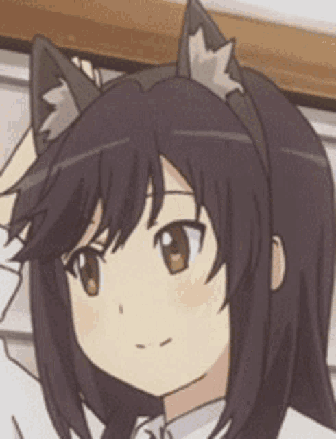 a close up of a anime girl with cat ears .