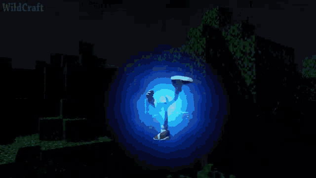 a whale is swimming through a blue circle with the word wildcraft on the bottom