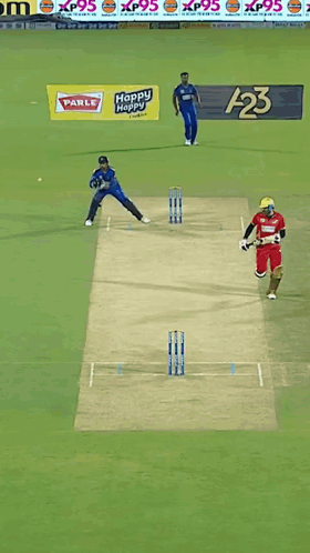 Run Out Cricket GIF - Run Out Cricket Out GIFs