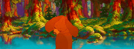 a bear is standing in the water in a forest .