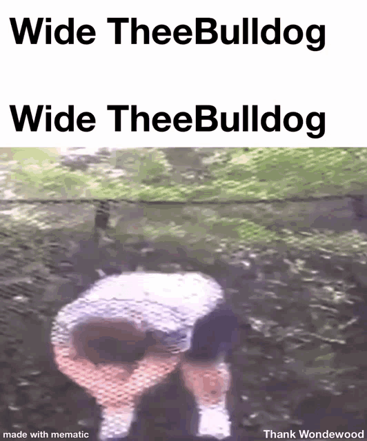 Wide Theebulldog Theebulldog GIF - Wide Theebulldog Theebulldog Backflip GIFs