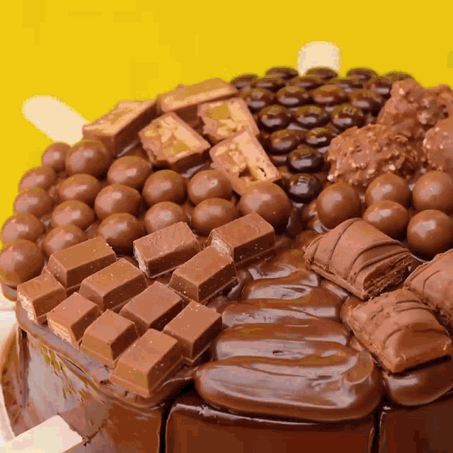 a chocolate cake with a lot of chocolate candy on it