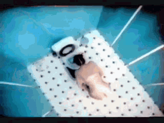 a naked person is laying on a bed with polka dots