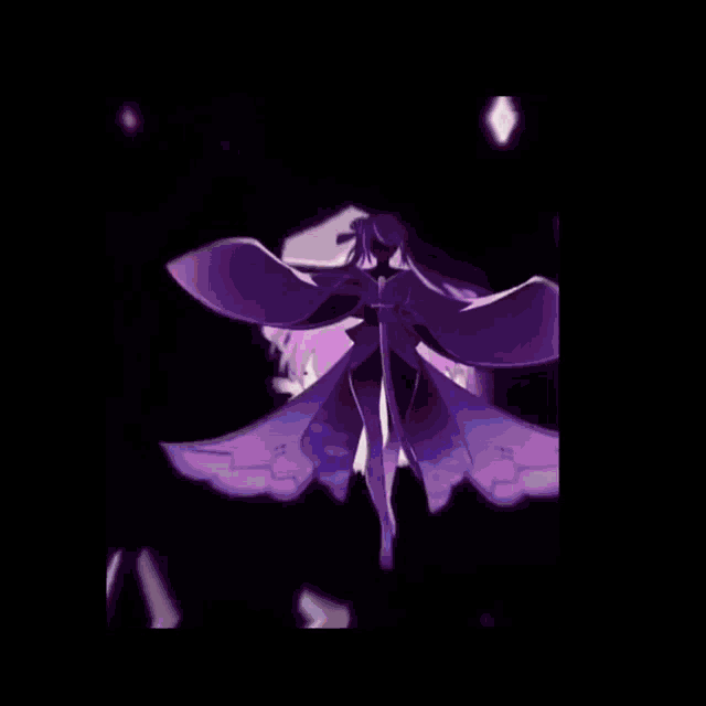 a close up of a purple and white flower with a black background