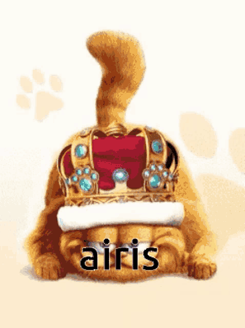 a cat wearing a crown with the word airis written on it