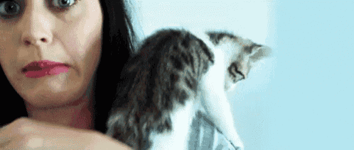 a woman is holding a kitten in her arms .
