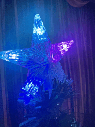 a blue and purple star on top of a tree